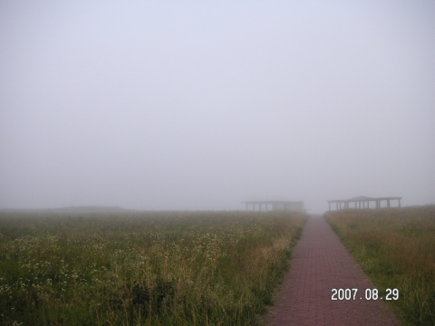 s_PICT0512.jpg
